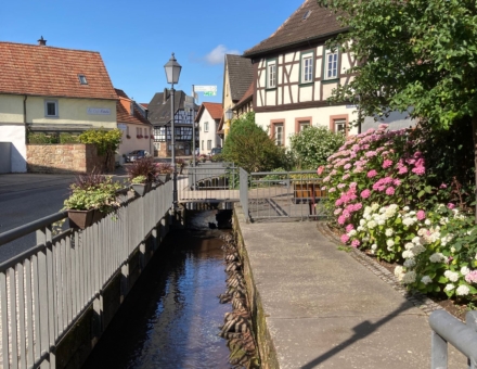 1000002707 - Copie (2)