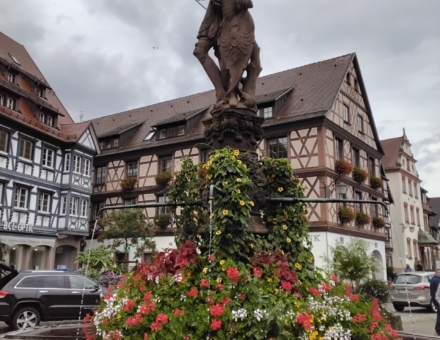 20250908_145247 - Copie