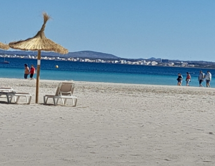 IMG-20240515-WA0007